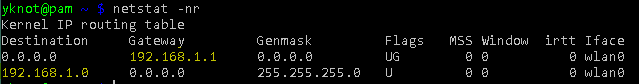 netstat output